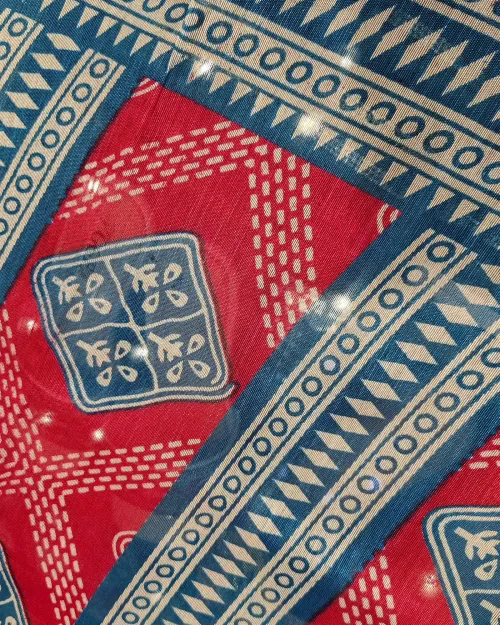 Firozi Printed Cotton Silk Saree with Rani Blouse